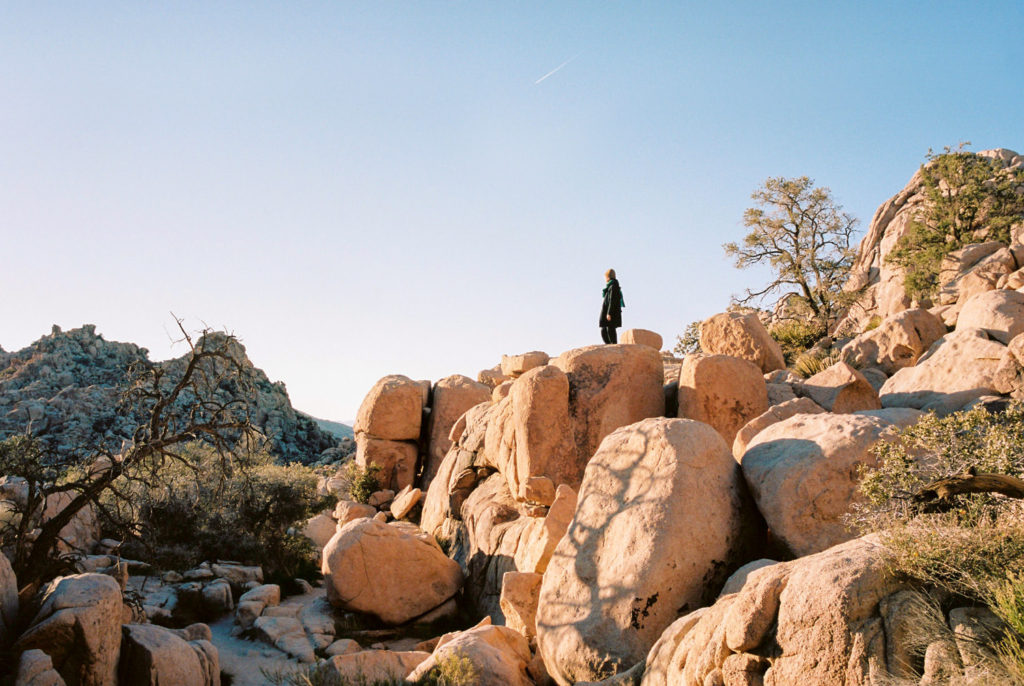 Joshua Tree National Park